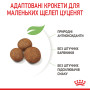 Royal Canin Giant Puppy для цуценят гігантських порід, 1 кг