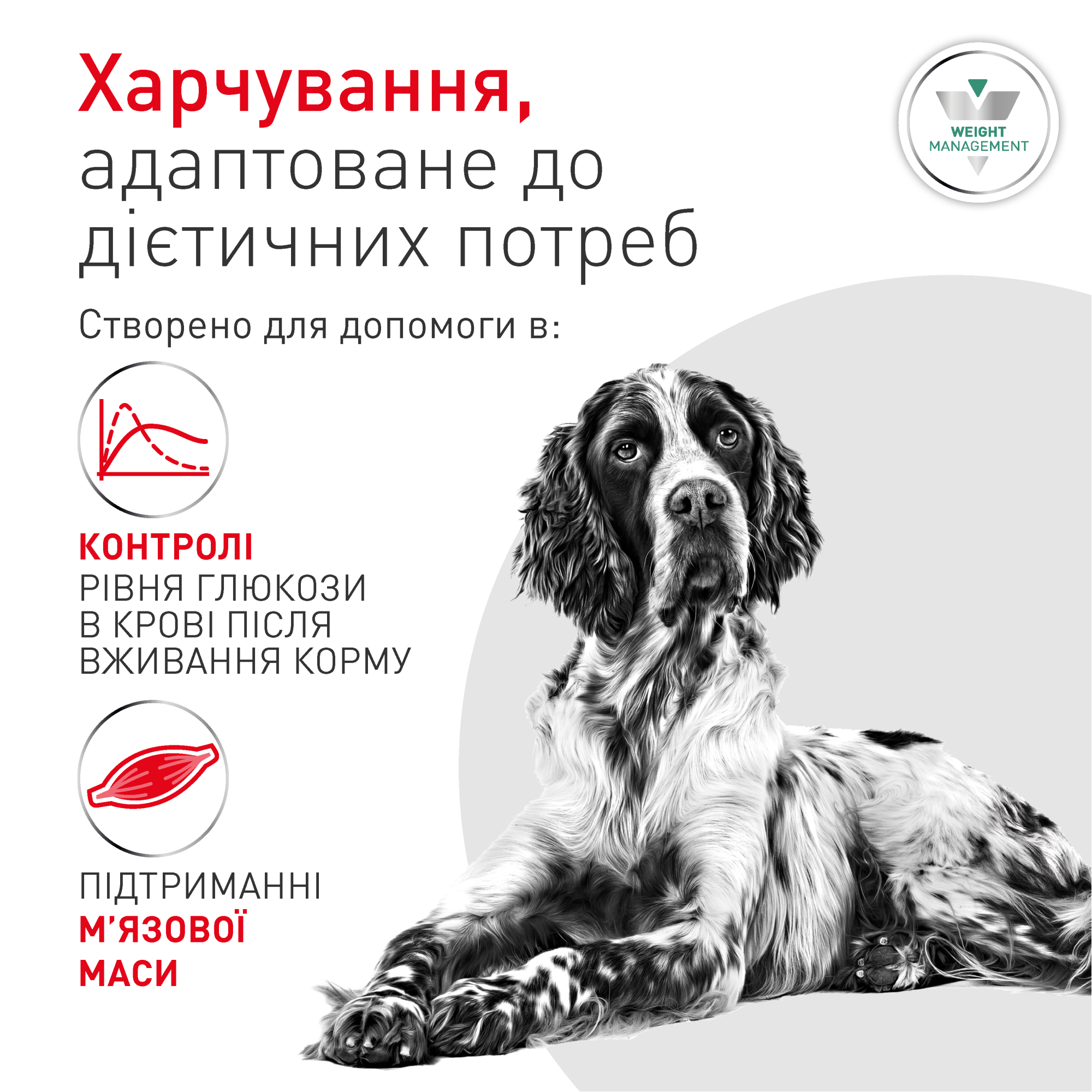 Royal Canin Glycobalance Dog - Специализированная диета для контроля сахарного диабета у собак, 1.5 кг