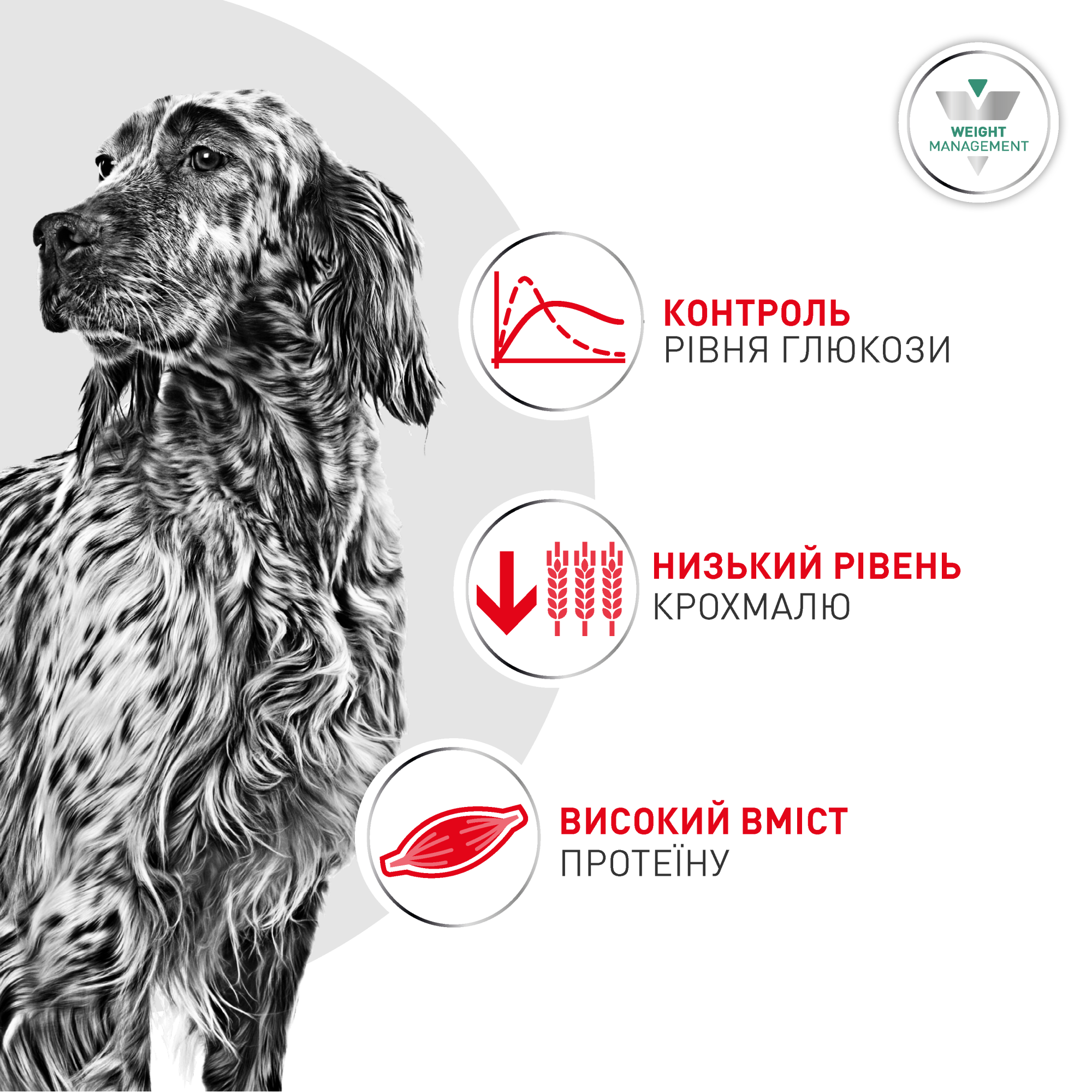 Royal Canin Glycobalance Dog - Специализированная диета для контроля сахарного диабета у собак, 1.5 кг