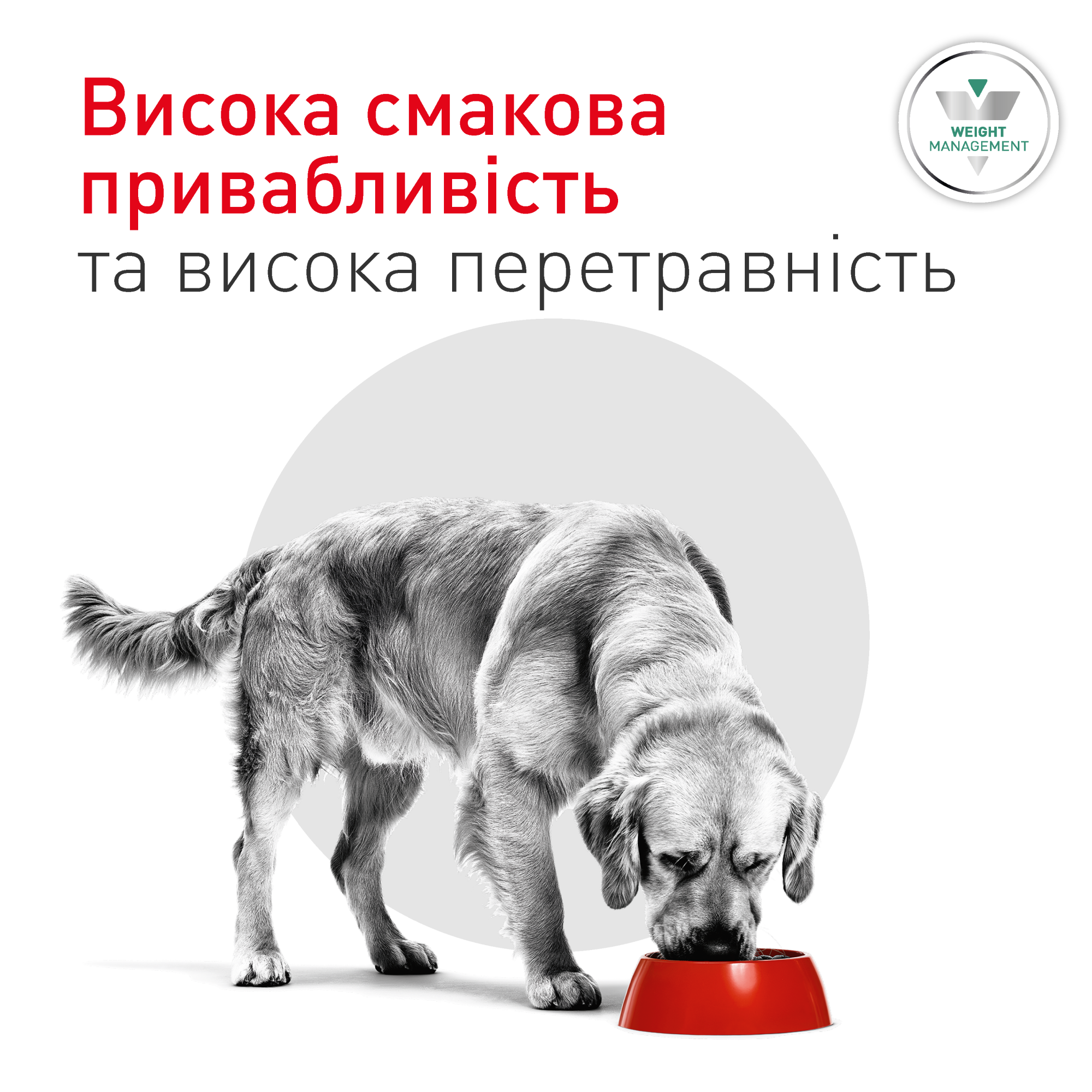 Royal Canin Glycobalance Dog - Специализированная диета для контроля сахарного диабета у собак, 1.5 кг