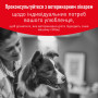 Royal Canin Glycobalance Dog - Специализированная диета для контроля сахарного диабета у собак, 1.5 кг