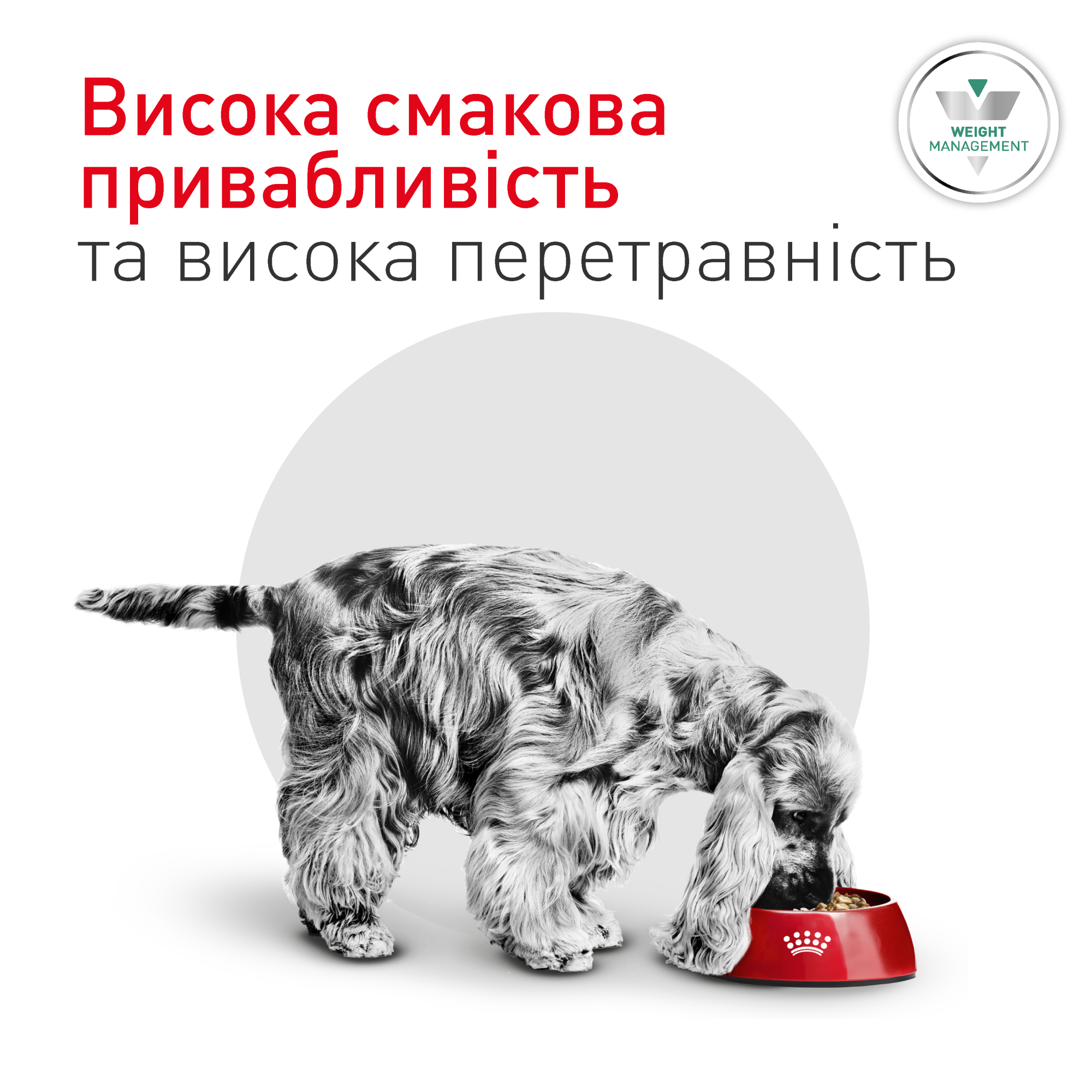 Royal Canin Glycobalance Small Dog - Специализированная диета для собак малых пород при сахарном диабете, 1.5 кг
