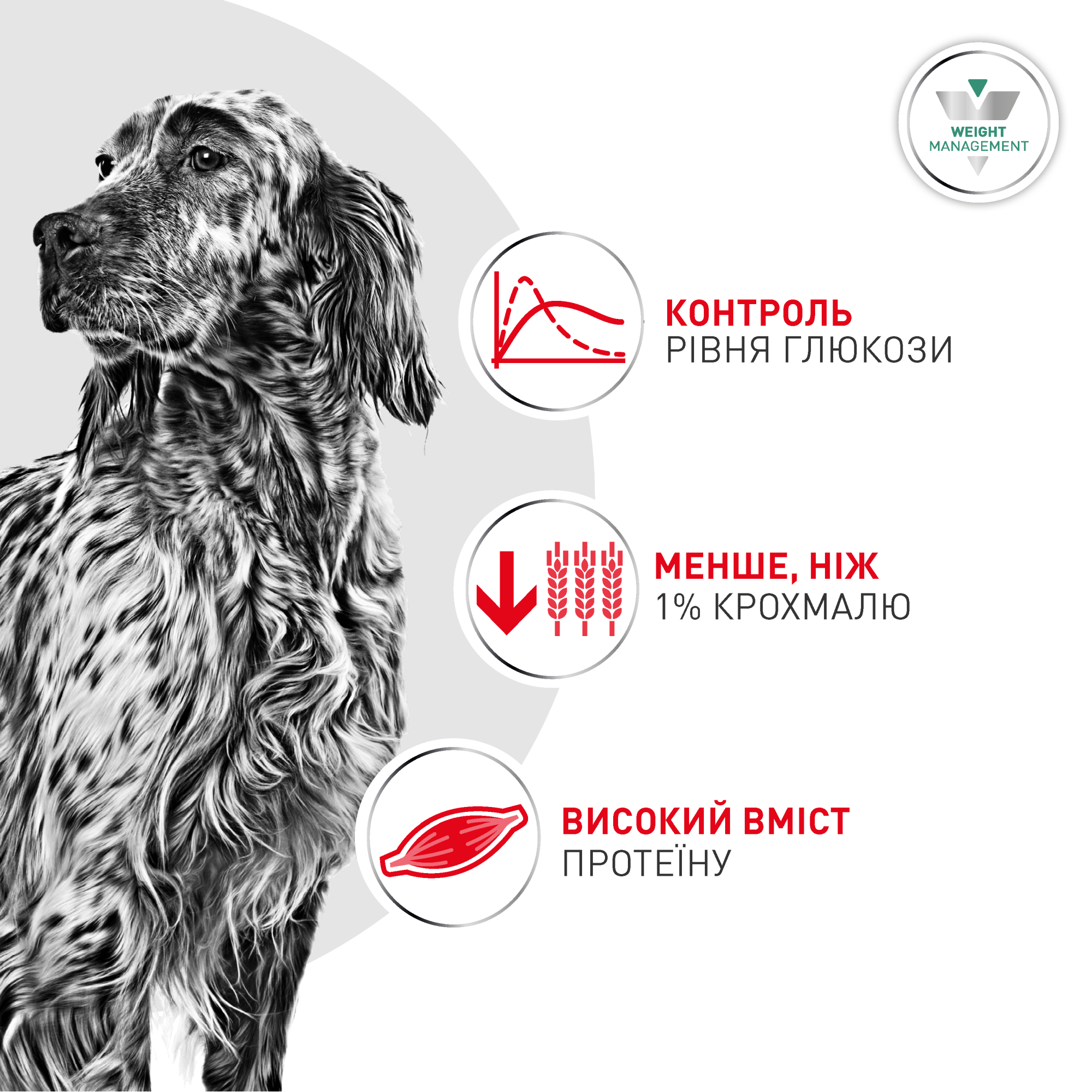 Royal Canin Glycobalance Special LC Dog Cans - Влажная диета для контроля сахарного диабета у собак (паштет), 410 г