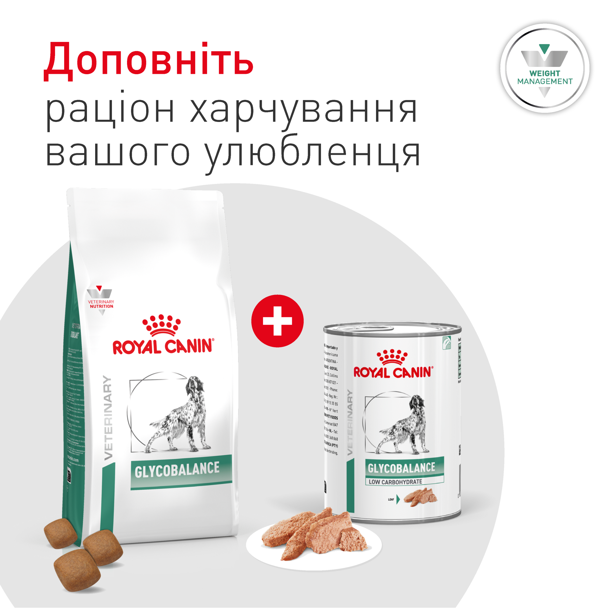 Royal Canin Glycobalance Special LC Dog Cans - Влажная диета для контроля сахарного диабета у собак (паштет), 410 г