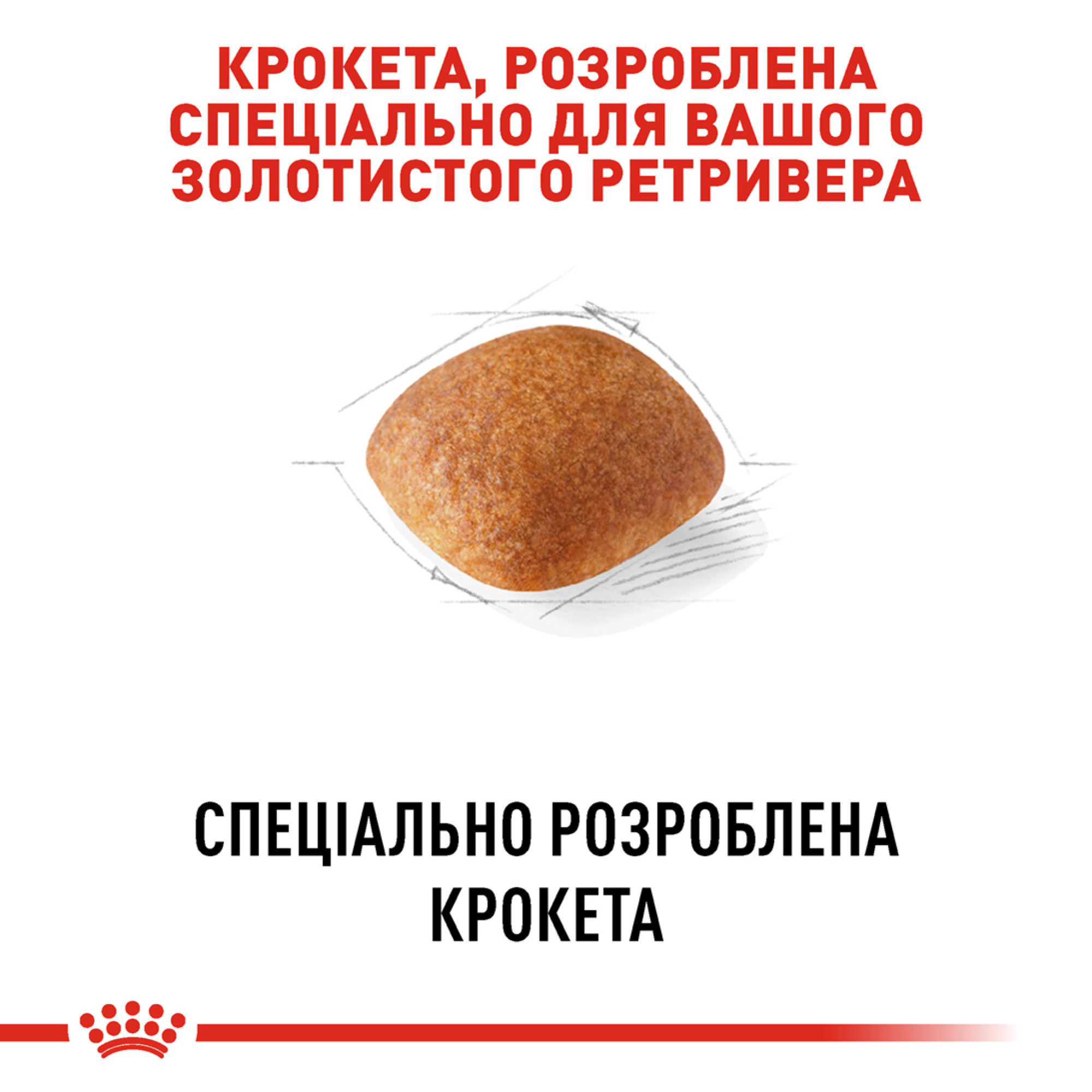 Royal Canin Golden Retriever Adult – сухой корм для взрослых собак породы золотистый ретривер, 12 кг