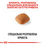 Royal Canin Golden Retriever Adult – сухой корм для взрослых собак породы золотистый ретривер, 12 кг