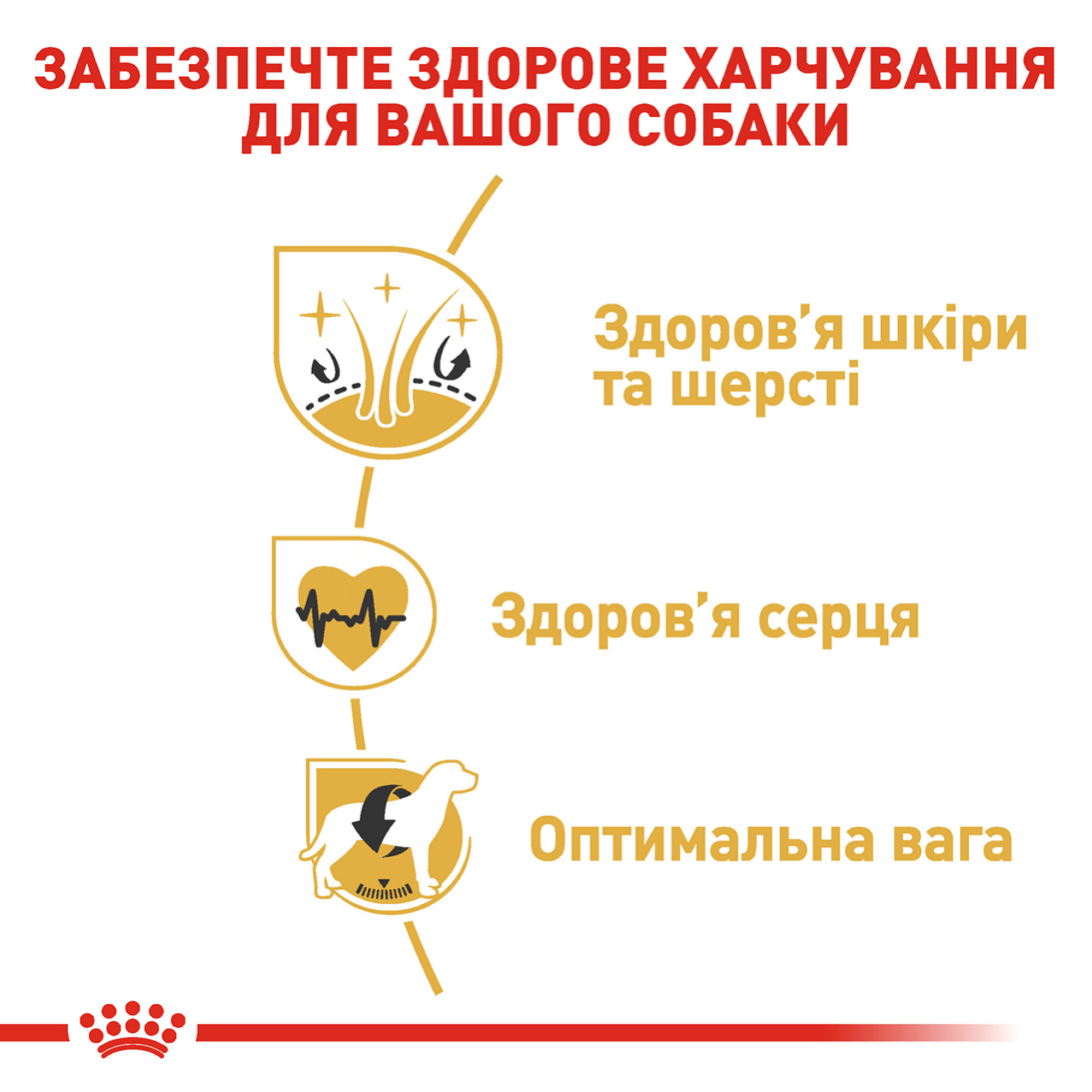 Royal Canin Golden Retriever Adult – сухой корм для взрослых собак породы золотистый ретривер, 12 кг