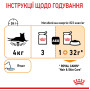 Royal Canin Hair & Skin Care в желе для кошек, 85 г