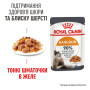 Royal Canin Hair & Skin Care в желе для кошек, 85 г