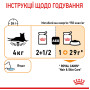 Royal Canin Hair & Skin Care в соусі для котів, 85 г
