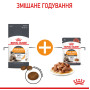 Royal Canin Hair & Skin Care в соусі для котів, 85 г