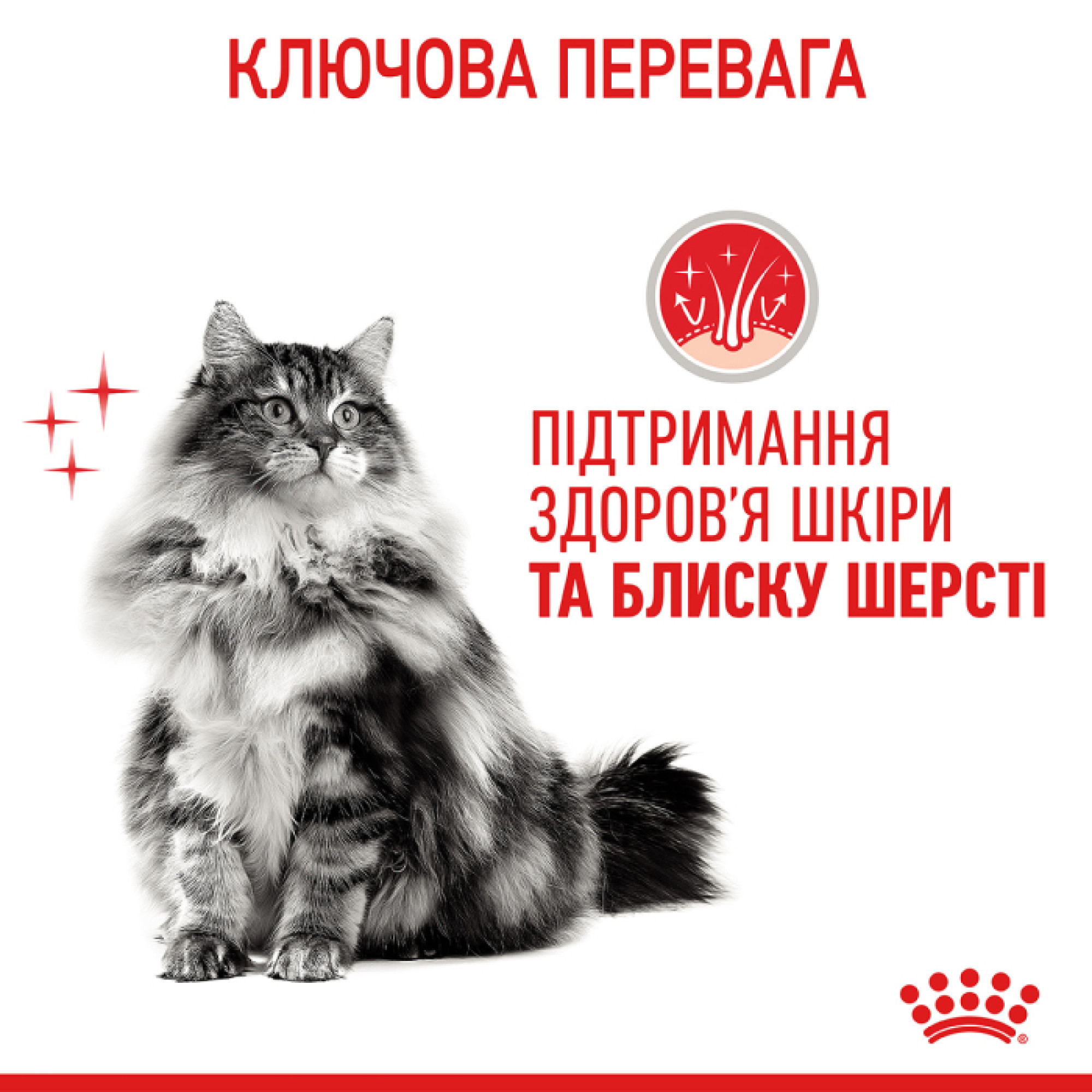 Royal Canin Hair & Skin Care в соусі для котів, 85 г