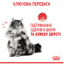 Royal Canin Hair & Skin Care в соусі для котів, 85 г