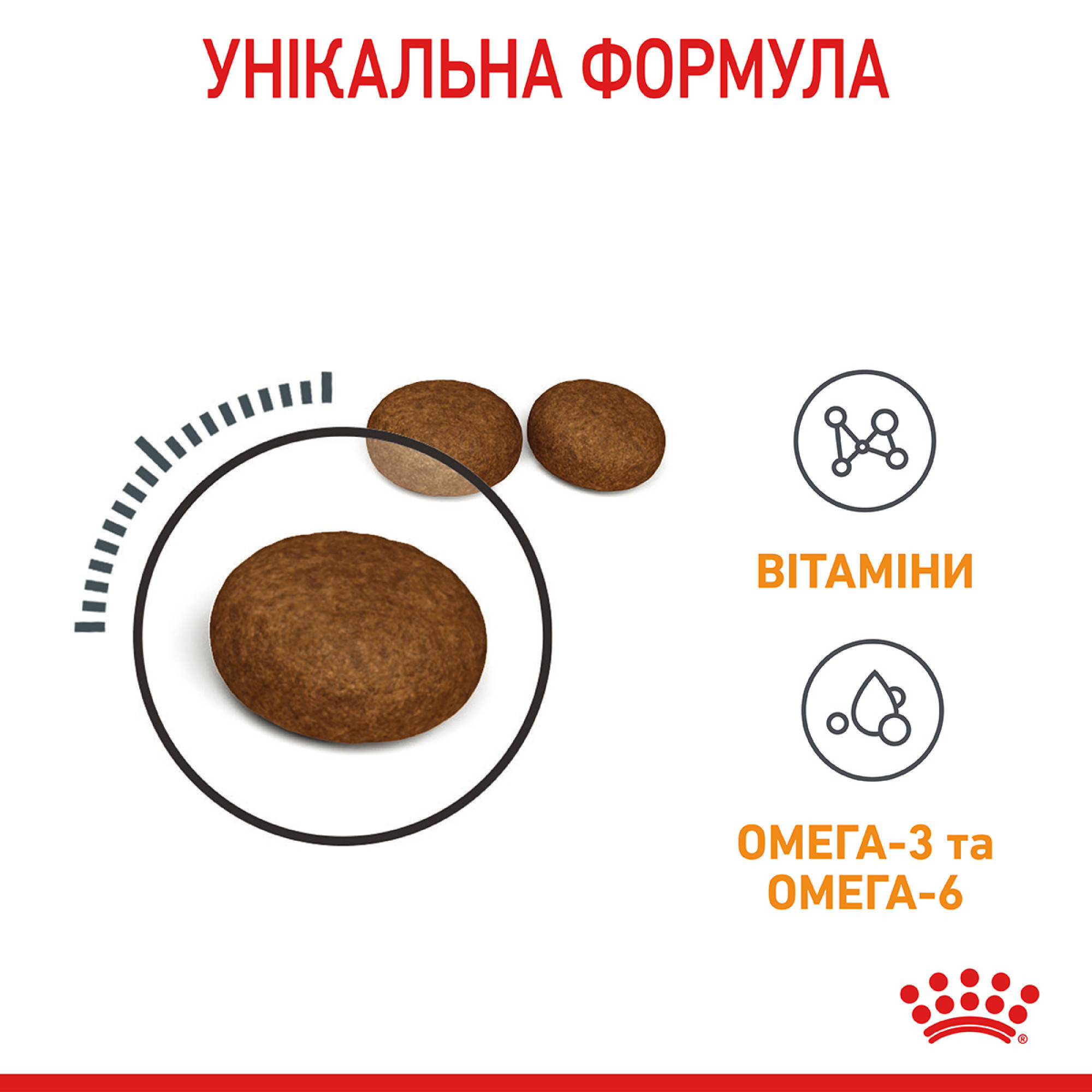 Royal Canin Hair & Skin Care Feline – сухий корм для підтримки здоров’я шкіри та блиску шерсті у котів, 10 кг