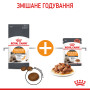 Royal Canin Hair & Skin Care Feline – сухий корм для підтримки здоров’я шкіри та блиску шерсті у котів, 10 кг