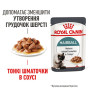 Royal Canin Hairball Care в соусі для котів, 85 г