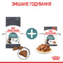 Royal Canin Hairball Care в соусі для котів, 85 г