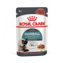 Royal Canin Hairball Care в соусі для котів, 85 г