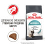 Royal Canin Hairball Care Feline – сухий корм для котів зі схильністю до утворення шерстяних клубків, 2 кг