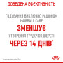 Royal Canin Hairball Care Feline – сухий корм для котів зі схильністю до утворення шерстяних клубків, 2 кг