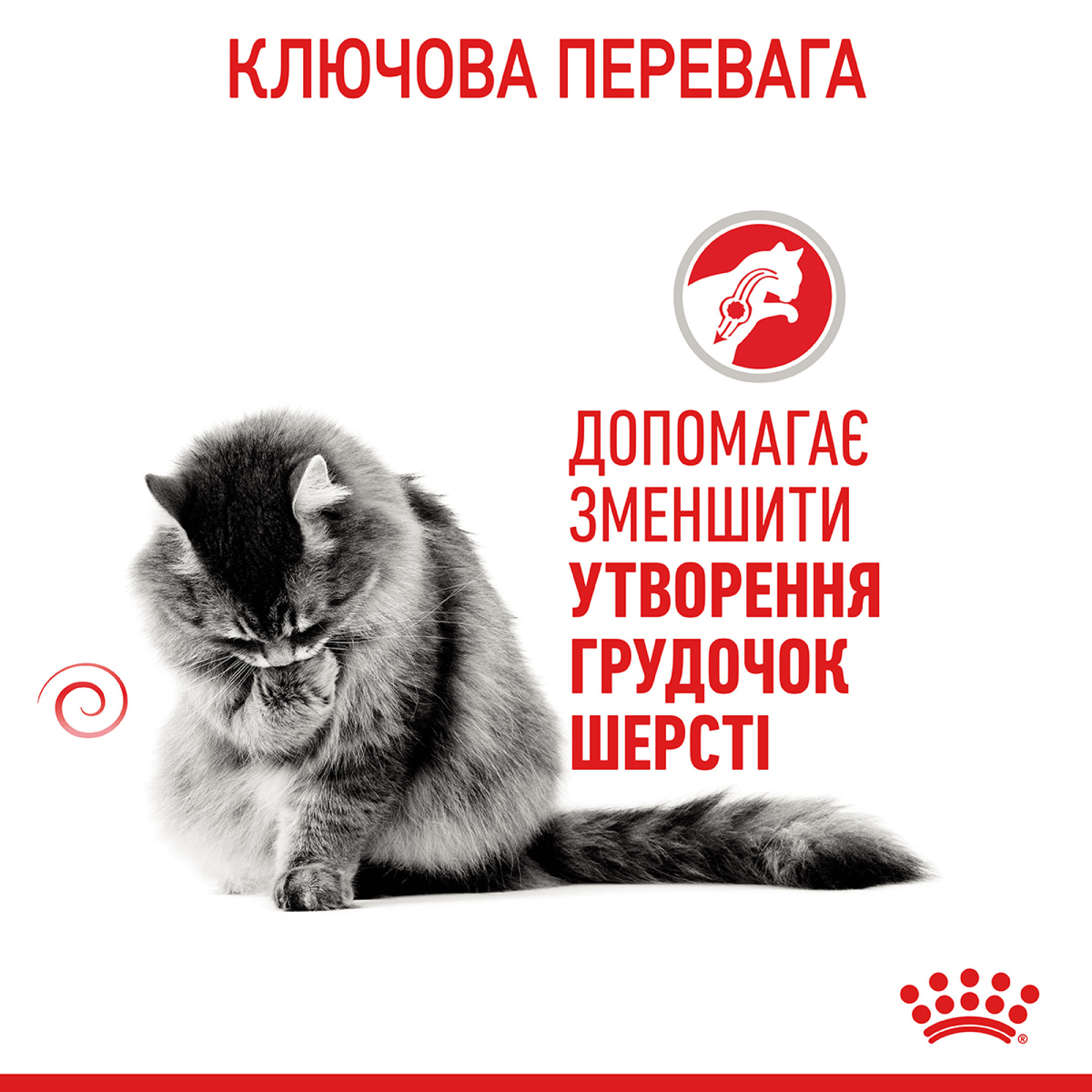 Royal Canin Hairball Care Feline – сухий корм для котів зі схильністю до утворення шерстяних клубків, 2 кг