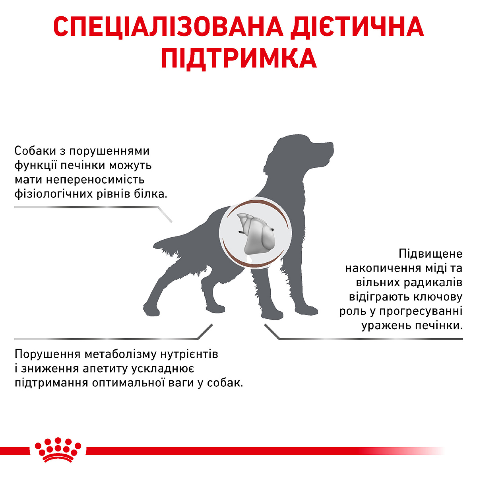 Royal Canin Hepatic– дієтичний сухий корм для собак із захворюваннями печінки, 7 кг