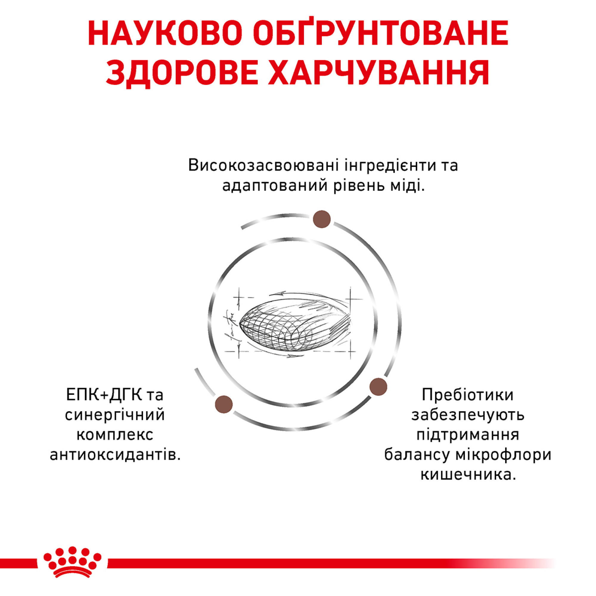 Royal Canin Hepatic– дієтичний сухий корм для собак із захворюваннями печінки, 7 кг
