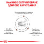 Royal Canin Hepatic Feline – сухий дієтичний корм для котів із захворюваннями печінки, 4 кг