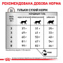 Royal Canin Hepatic Feline – сухий дієтичний корм для котів із захворюваннями печінки, 4 кг