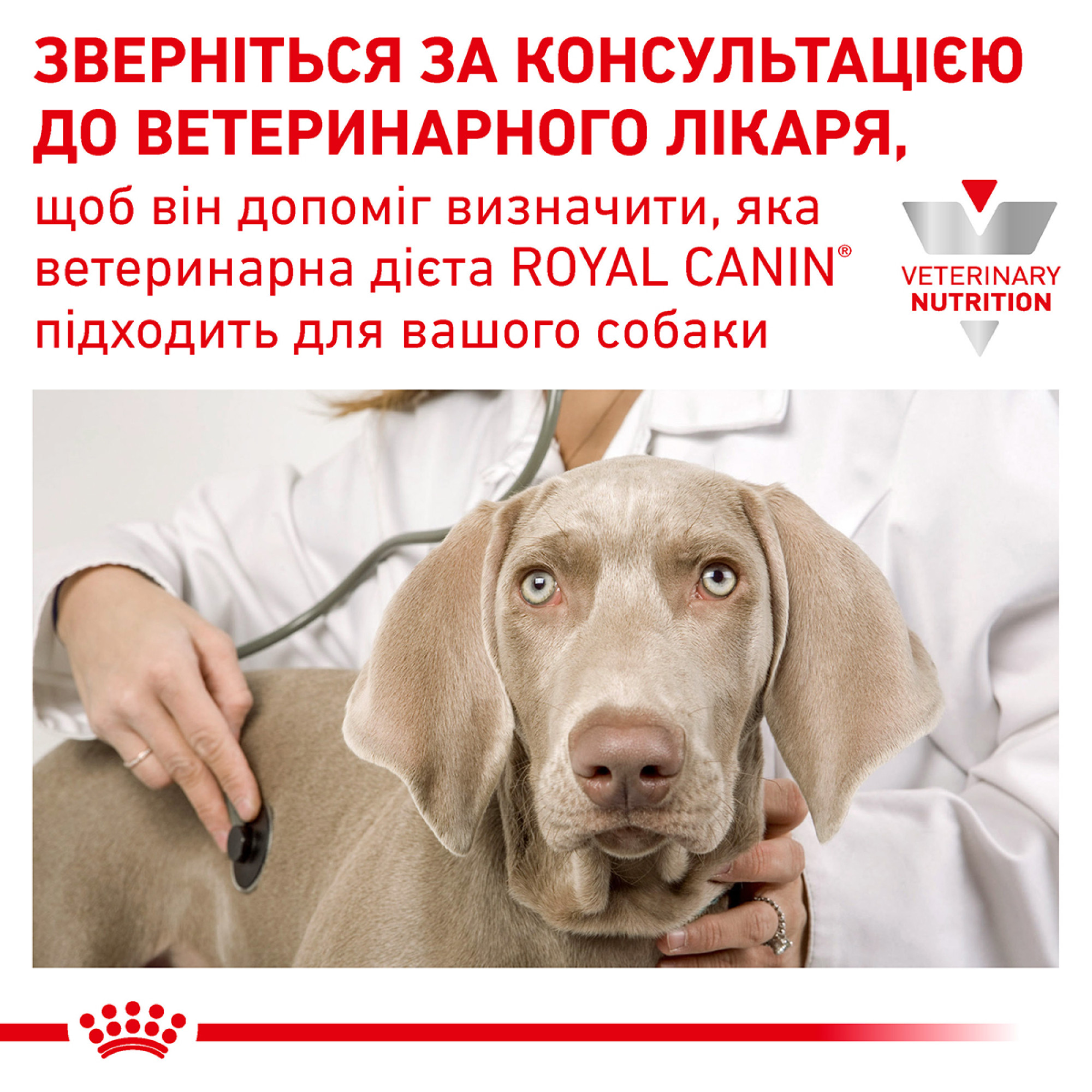 Royal Canin Hypoallergenic Puppy – гіпоалергенний сухий корм для цуценят з харчовою алергією та чутливим травленням, 3.5 кг