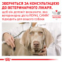 Royal Canin Hypoallergenic Small Dog – гіпоалергенний сухий корм для собак малих порід, 3.5 кг