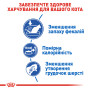 Royal Canin Indoor – сухий корм для домашніх (кімнатних) котів віком від 1 до 7 років, 10 кг