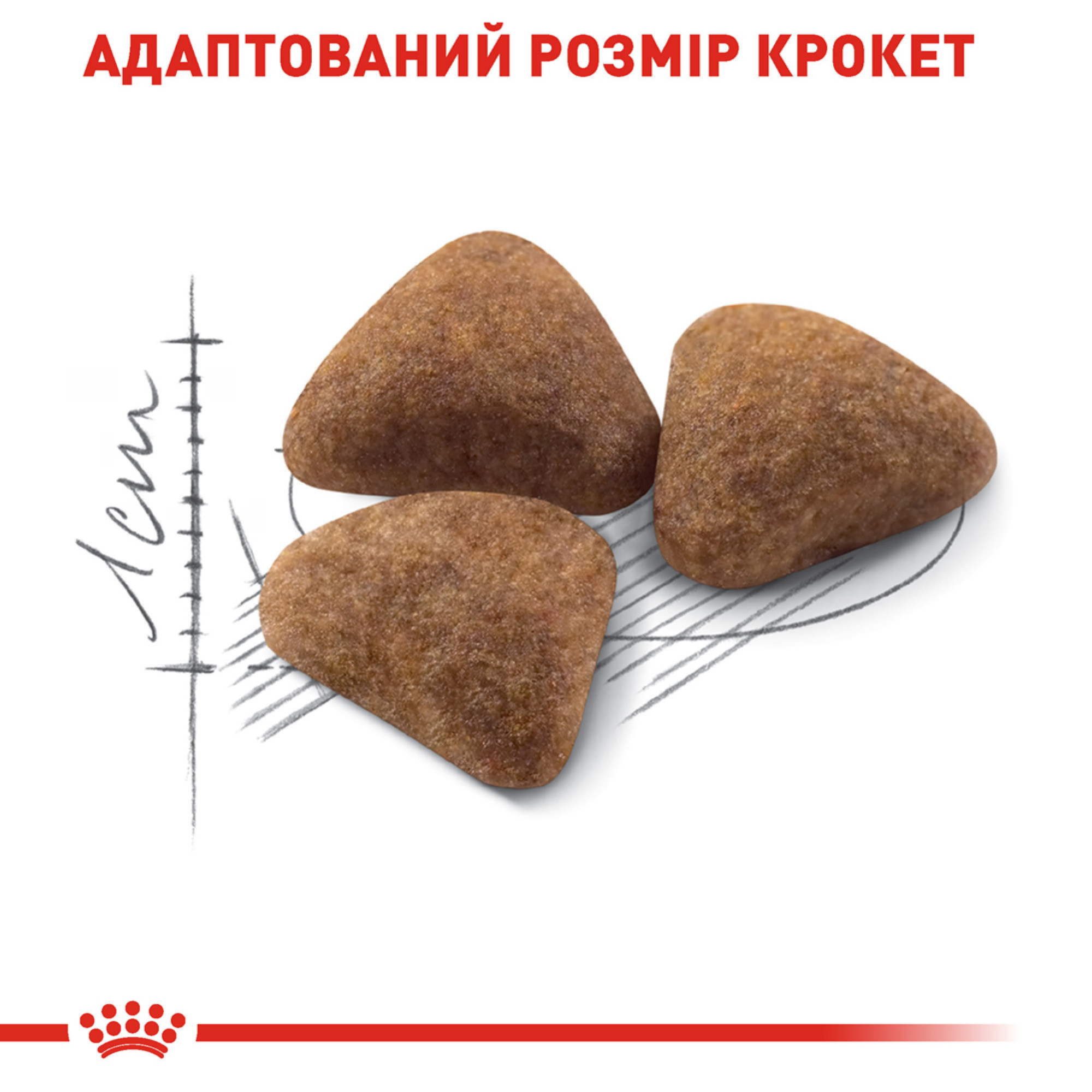 Royal Canin Indoor – сухий корм для домашніх (кімнатних) котів віком від 1 до 7 років, 10 кг