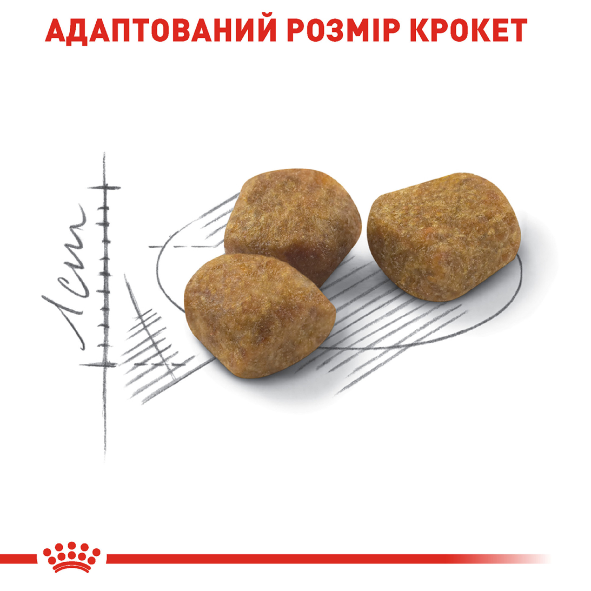 Royal Canin Indoor 7+ – сухий корм для домашніх котів віком від 7 років, 3.5 кг