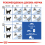 Royal Canin Indoor 7+ – сухий корм для домашніх котів віком від 7 років, 3.5 кг