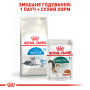 Royal Canin Indoor 7+ – сухий корм для домашніх котів віком від 7 років, 3.5 кг
