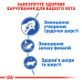 Royal Canin Indoor Long Hair – сухий корм для довгошерстих домашніх котів віком від 1 до 7 років, 2 кг