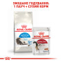 Royal Canin Indoor Long Hair – сухий корм для довгошерстих домашніх котів віком від 1 до 7 років, 2 кг