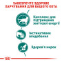 Royal Canin Instinctive 7+ в соусі – вологий корм для дорослих котів віком від 7 років, 85 г