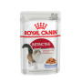 Royal Canin Instinctive в желе – вологий корм для дорослих котів, 85 г