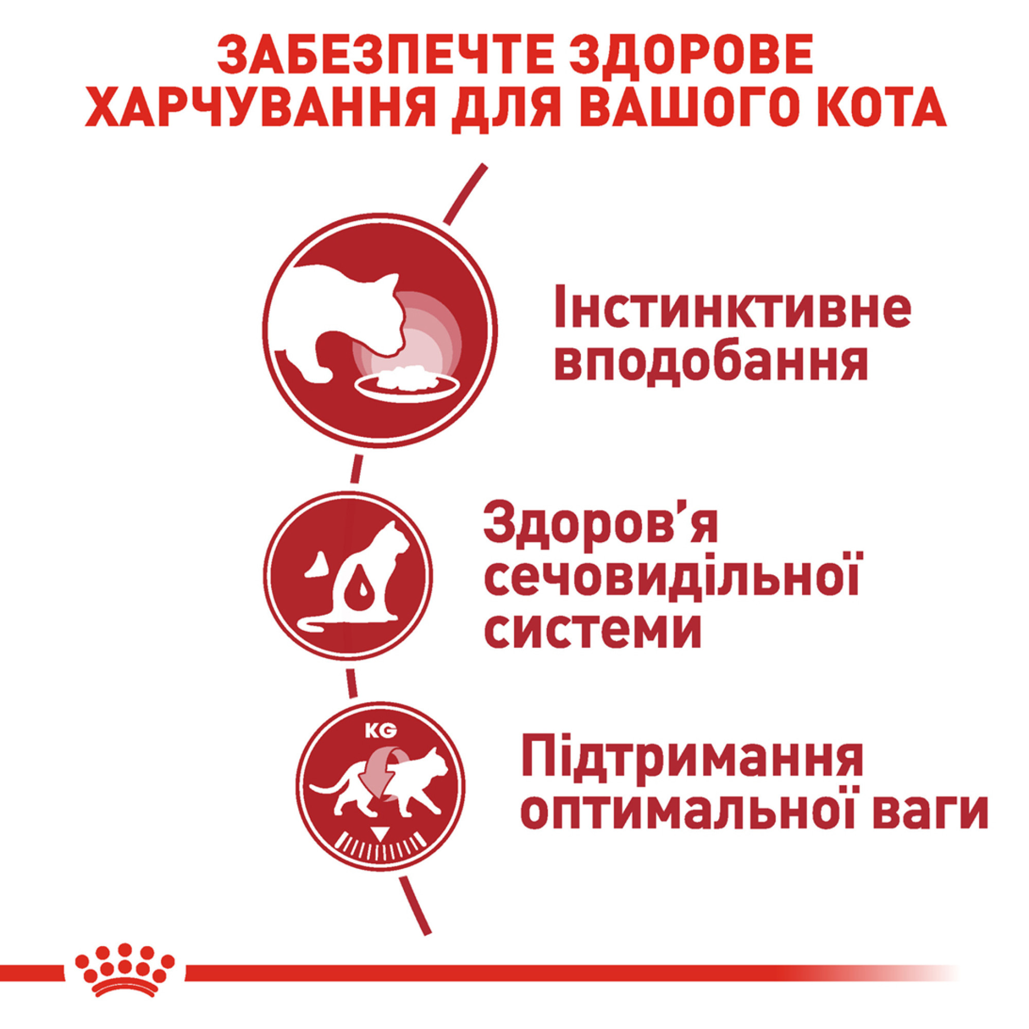 Royal Canin Instinctive в желе – вологий корм для дорослих котів, 85 г