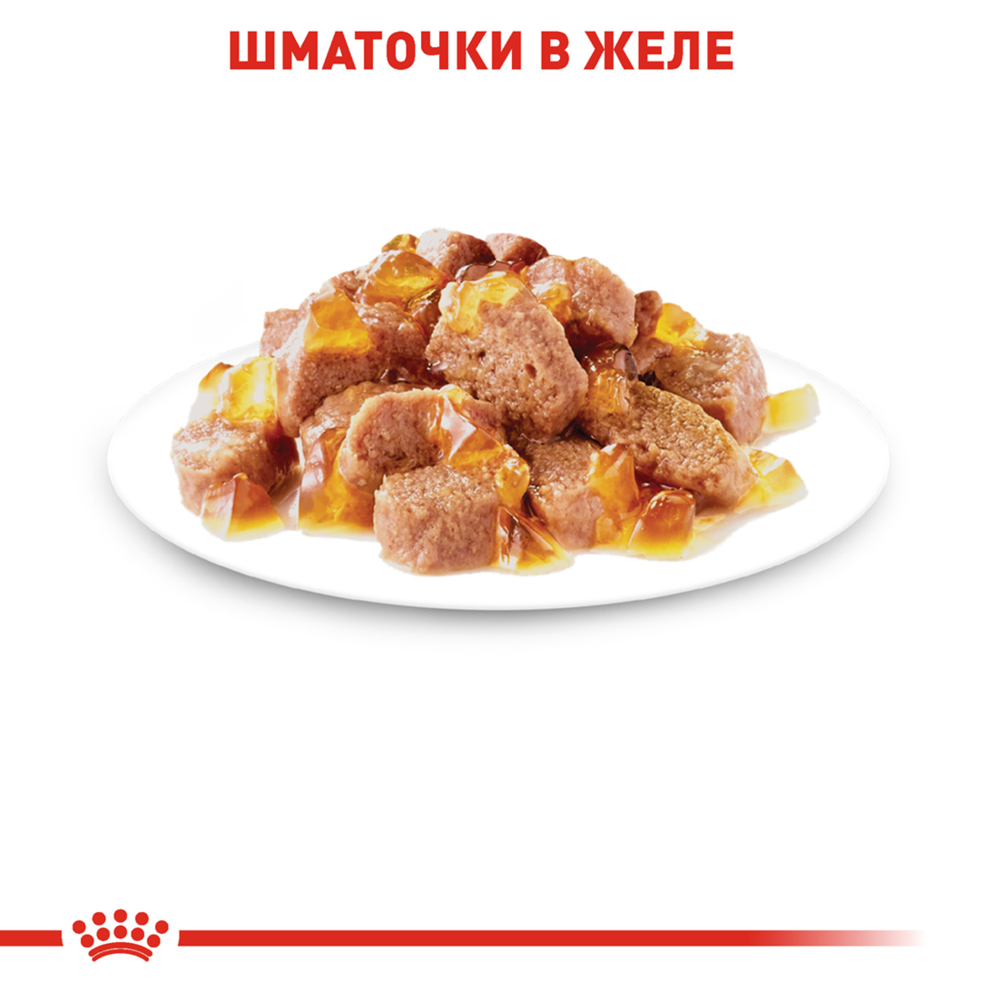 Royal Canin Instinctive в желе – вологий корм для дорослих котів, 85 г