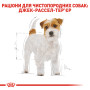 Royal Canin Jack Russell Terrier Adult – сухий корм для дорослих собак породи джек-рассел-тер'єр, 7.5 кг
