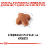 Royal Canin Jack Russell Terrier Adult – сухий корм для дорослих собак породи джек-рассел-тер'єр, 7.5 кг