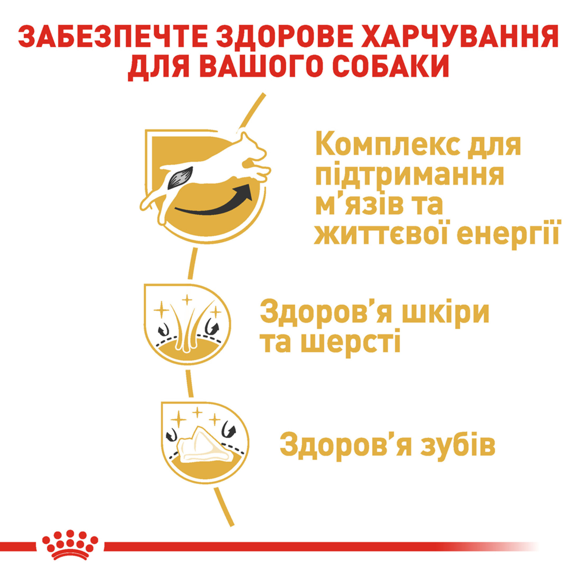 Royal Canin Jack Russell Terrier Adult – сухий корм для дорослих собак породи джек-рассел-тер'єр, 7.5 кг