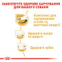 Royal Canin Jack Russell Terrier Adult – сухий корм для дорослих собак породи джек-рассел-тер'єр, 7.5 кг