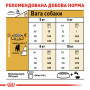 Royal Canin Jack Russell Terrier Adult – сухий корм для дорослих собак породи джек-рассел-тер'єр, 7.5 кг