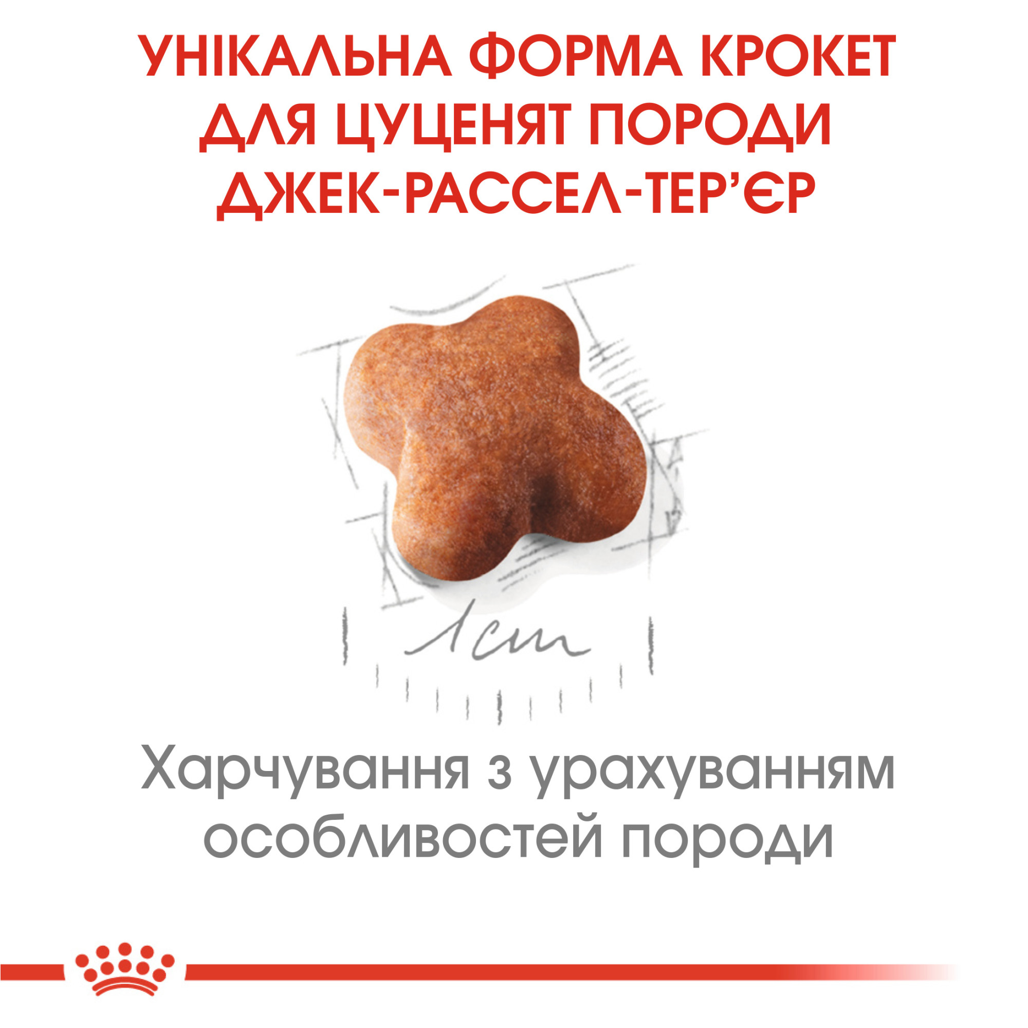 Royal Canin Jack Russell Terrier Puppy – сухий корм для цуценят породи джек-рассел-тер'єр, 1.5 кг