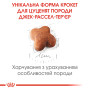 Royal Canin Jack Russell Terrier Puppy – сухий корм для цуценят породи джек-рассел-тер'єр, 1.5 кг
