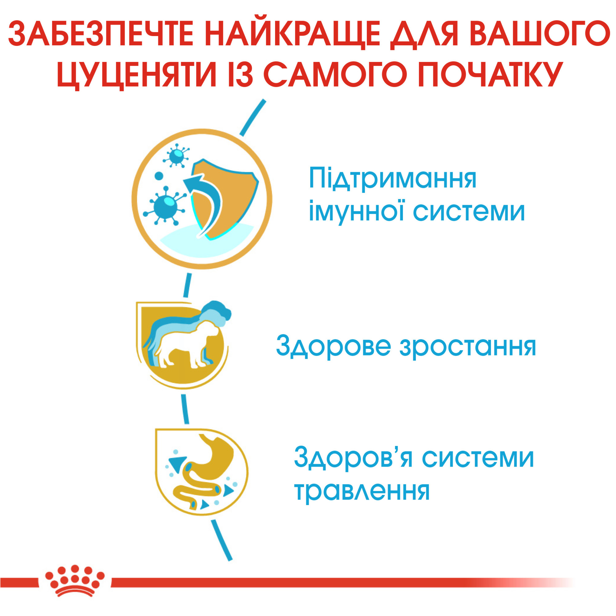 Royal Canin Jack Russell Terrier Puppy – сухий корм для цуценят породи джек-рассел-тер'єр, 1.5 кг